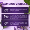 Serum Facial Efecto Tensor Con Dmae Y Gaba Lifting +