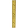 Fowler 52-349-006-0 Rigid Steel Rule with Titanium Coated Golden Finish,