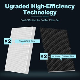 116130 Replacement Filter H for Winix 5500-2 and AM80 Air Purifier, HEPA Filter and Activated Carbon Filter Combo Pack