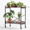 Zhongma 2 Tier Sturdy Metal Plant Stand with Wheels,Heavy Duty