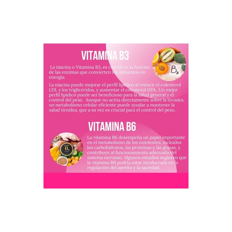 Kit 2 Frasco Quemador Suplemento Reductivo Lipoenzimas 90cáp