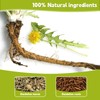 Dandelion Leaf & Root Tea bags, 100% Pure dandelion root