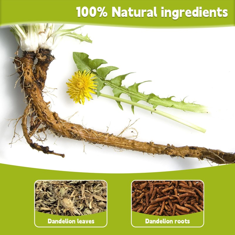 Dandelion Leaf & Root Tea bags, 100% Pure dandelion root