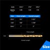 amoolo Titanium Drill Bit Set (60 pcs), Premium 4341 HSS