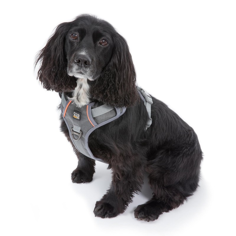 Pawfit Extra Large Dog Harness, No Pull Pet Vest Harness