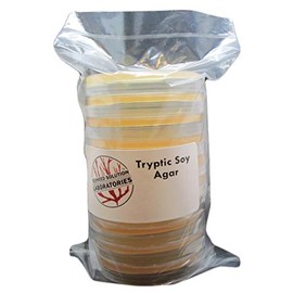 Tryptic Soy Agar (TSA) Prepared - 10, 100 Millimeter Plates