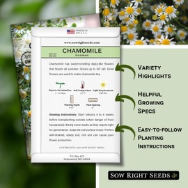 Sow Right Seeds - German Chamomile Seeds for Planting - Non-GMO Heirloom Packet with Instructions to Grow Herbal Tea - Medicinal & Aromatic Flower, Home Remedies - Small Daisy-Like Blooms (2)