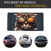 Cat Front License Plate Designs Vanity License Plates Cover for