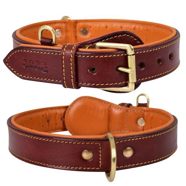 DowgClub | Genuine Leather Padded Buckle Dog Collar | Full