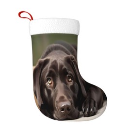PUTWULB Cute Labrador Large Christmas Stockings, 17.7 Inches Xmas Stocking Fireplace Hanging for Xmas Family Decor