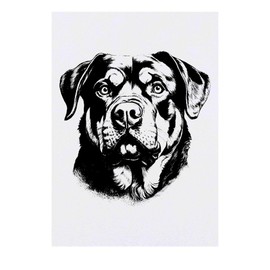 'Rottweiler Dog Portrait' Temporary Tattoo - Water Resistant, Skin-Safe, Non-Toxic Transfer (TO00083363)