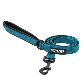 Voyager Reflective Dog Leash with Neoprene Handle, 5ft Long, Supports Small, Medium, and Large Breed Puppies, Cute and Heavy Duty for Walking, Running, and Training - Turquoise (Leash), M