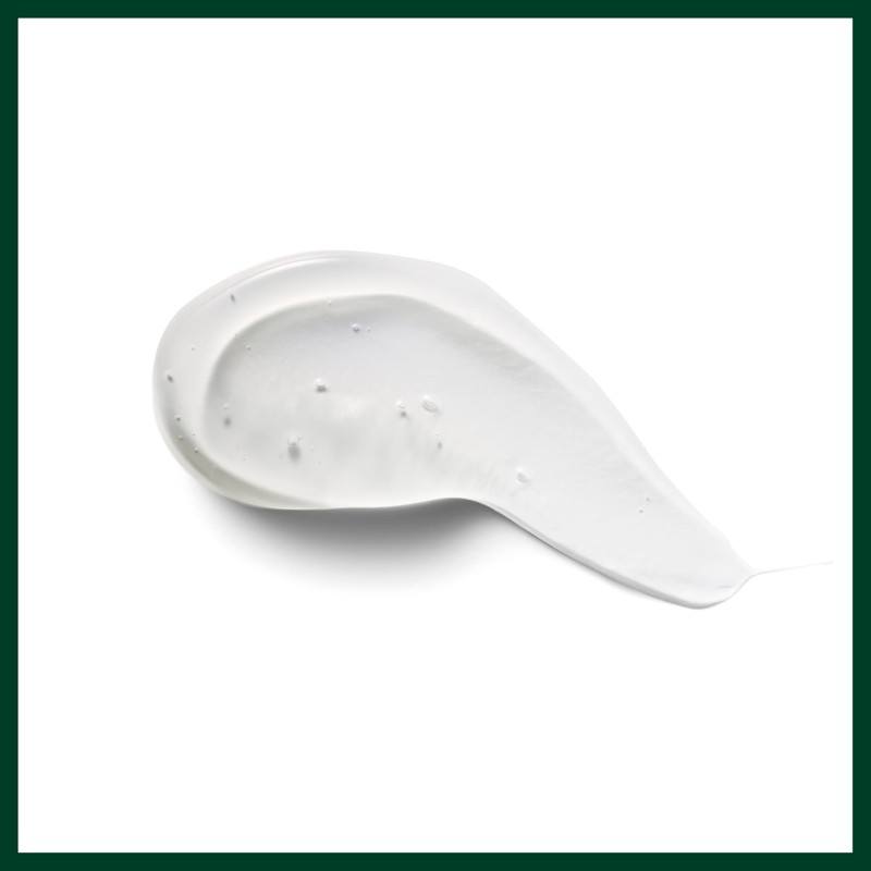 Aveda Nutriplenish Curl Gelée | Hydrating Superfood Gel for Coily