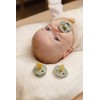 BIBS Colour Night Glow in The Dark Soother 2-Pack, BPA