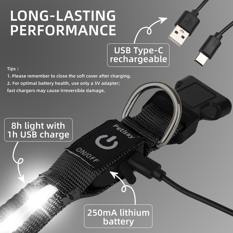 Super Bright LED Dog Collar - Fully Waterproof & Adjustable