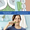 TEPE Good Soft-Bristle Toothbrush for Adults and Teens, Pack of
