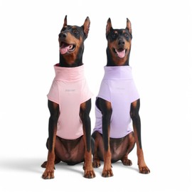 Spark Paws Dog T-Shirt, Quick Dry Soft Stretchy, Lightweight Breathable for Dogs with Sensitive Skin - Purple & Pink (Set of 2) - 2XL