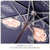 S21001 Folding Umbrella, 21.7 inches (55 cm), Wind Resistant Mini,
