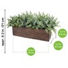 Winlyn Winlyn 14" Artificial Eucalyptus in Rectangular Wood Planter Box