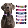 Rhea Rose Replacement Collar for Shock Collar, E-Collar Replacement Strap,