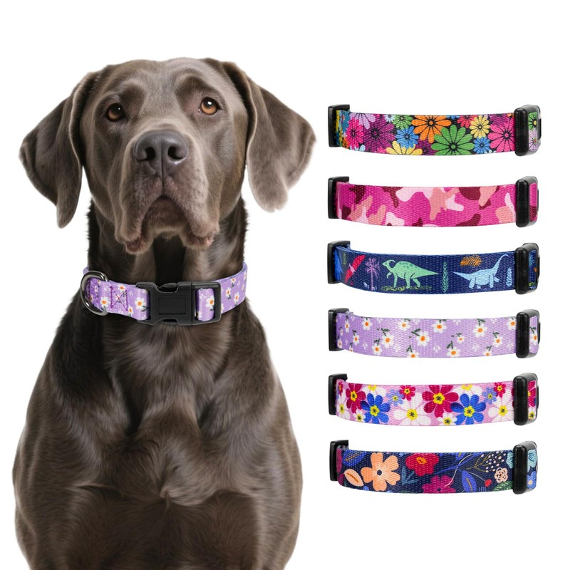Rhea Rose Replacement Collar for Shock Collar, E-Collar Replacement Strap,
