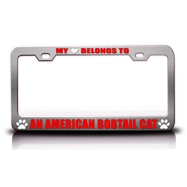 My Heart Belongs to an American Bobtail CAT Pet Cats Dogs Metal License Plate Frame Style 6 Chrome