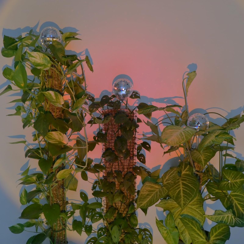 10ft/20ft/40ft DIY Metal Mesh Sphagnum Moss Pole Monstera Plant Support