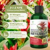 Professional Liquid Bromeliad Plant Fertilizer | 3-1-2 Concentrate for Plants