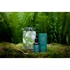 Gallybird Stevia Drops 50ml - Calorie Free Sugar Alternative