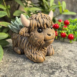 wsmart Highland Cow Planter, Resin Succulent Plant Pot, Small Decorative Animal Flower Container, Gift for Cow Lovers (Dark Brown)
