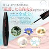 Eyelash Serum Eyelash Eyelash Serum Eyelash & Brow Serum