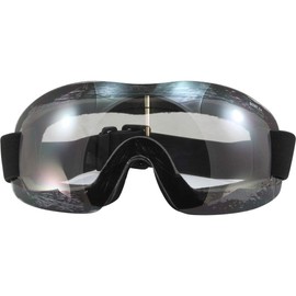 Birdz Starling Sport Skydiving Snowboarding Motorcycle Riding Goggles Clear Lens