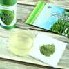 농협 화개장터 가루녹차 Nonghyup Hwagaejangteo Powdered Green Tea