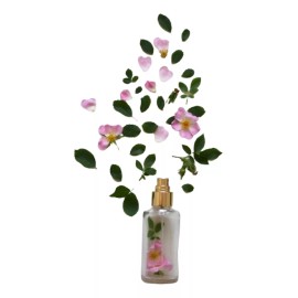 La Perfumm Esencias De Contratipos Aromática Concentrada El Gramo