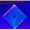 37mm Real Weaver Ant in Crystal Clear Lucite Resin Specimen