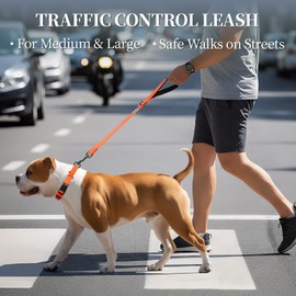 VIVAGLORY Short Dog Leash Closerok Traffic Leash for Dog with Soft Padded Handle for Training & Walking, Padded Neoprene & Heavy Duty, 24inch, Orange