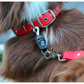 PetTec Anleinfix Dog Lead Click System, Magnetic Closure for Dog Lead and Dog Collar for Quick On/Off Leash, Magnetic Click System, Rust-Free