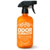 ANGRY ORANGE Pet Odor Eliminator for Dog and Cat Urine,