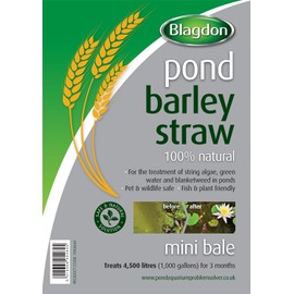 Blagdon Pond Barley Straw Bale, Small, Clears Algae, Green Water and Blanketweed, Natural, for Ponds up to 4,500 Litres