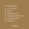 Phyto PhytoColor Permanent Color - 5.3 Light Golden Brown
