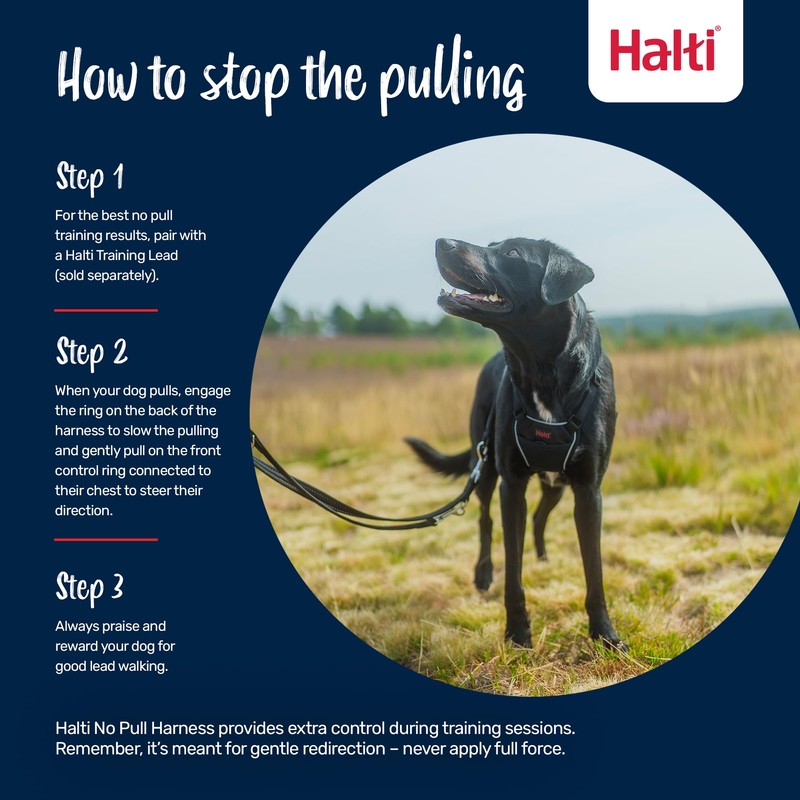 HALTI No Pull Harness - to Stop Your Dog Pulling
