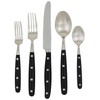 Ginkgo International Lyon 5-Piece Stainless Steel Flatware Place Setting, Ebony,