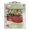 Haxnicks Patio Planter Tomato 2Pcs