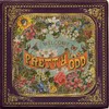 Pretty. Odd. [VINYL]