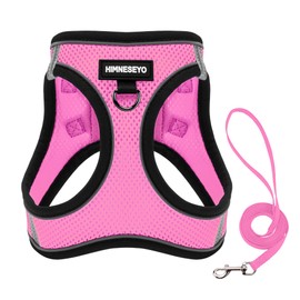 Dog Harness and Leash Set, Dog Harness for Dogs No Pull, No-Chock Step-in Reflective Breathable Lightweight Easy Walk Vest Harnesses with Safety Buckle for Small Medium Dogs, Cats (Pink, XS)