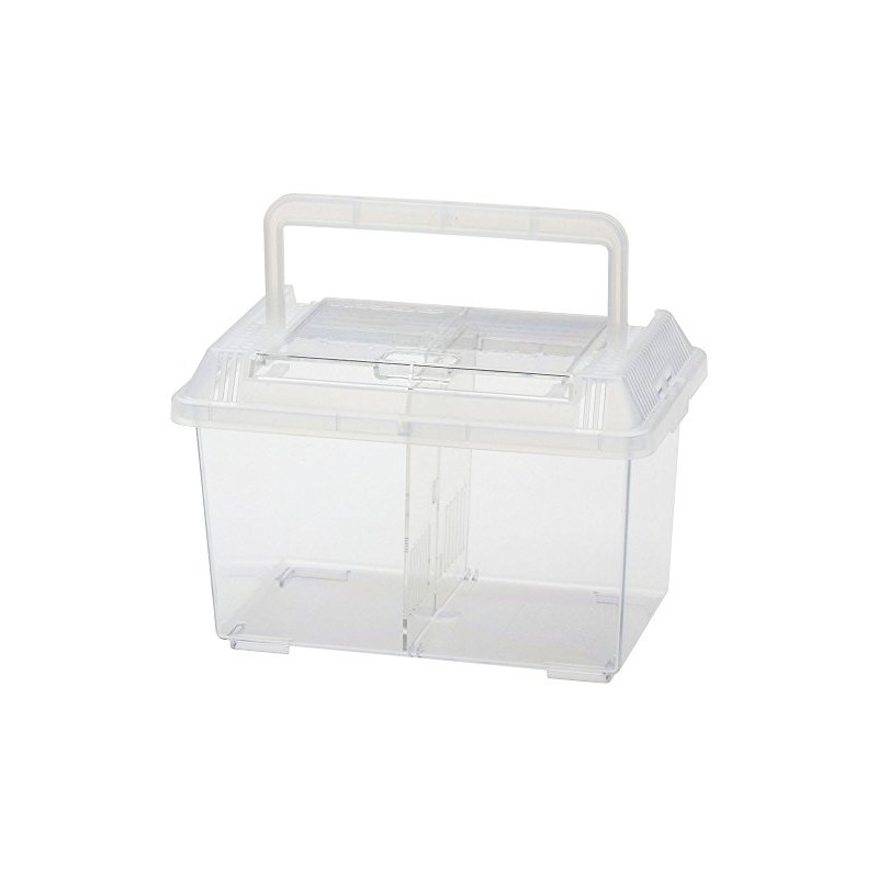 Insectorand Mini Plastic Case, Paradise for Creatures