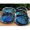 3-Pack Jumbo Abalone Shells 7–8 Inch Seashell Smudge Bowl for