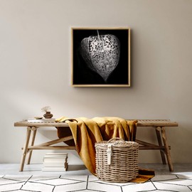 SIGNWIN Framed Canvas Print Wall Art Black and White Chinese Lantern Flower with Seed Floral Plants Photography Realism Rustic Colorful Dark for Living Room, Bedroom, Office - 16"x16" Natural