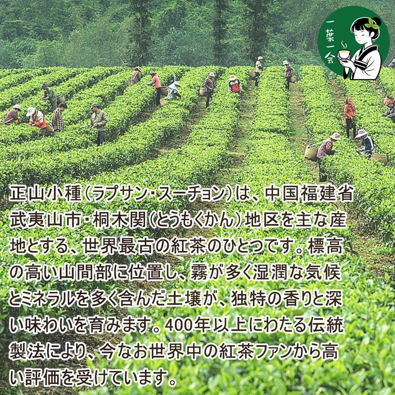 Tea Leaf Tea Bag (Lapsan Sucheon) Tea Leaf Non-Additive Chinese