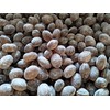 Root Beer Bulk Sanded Candy Drops - 2 lbs of